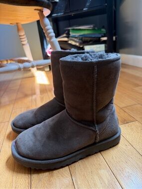 UGG Women's Classic Short in Grey